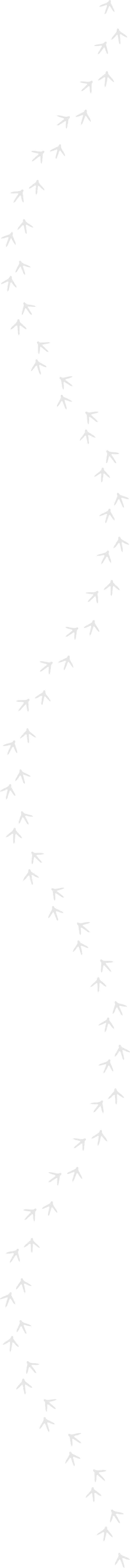 The Mountaire Creed